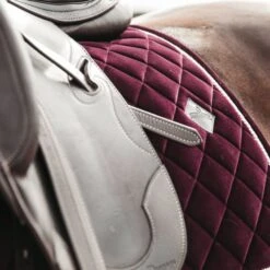 Kentucky Horsewear Kentucky Dressur Satteldecke Corduroy Schwarz Warmblut 22 Kentucky Horsewear Kentucky Dressur Satteldecke Corduroy Schwarz Warmblut -Reitsportbedarf Geschäft kentucky dressuur zadeldekje corduroy bordeaux 1.69b0bf