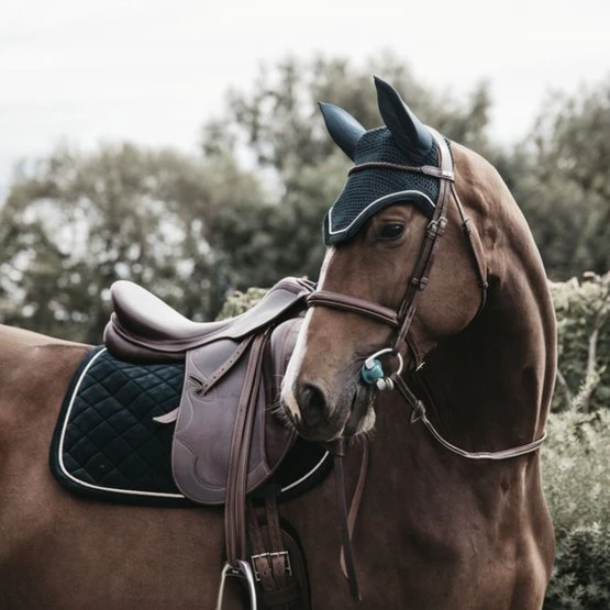 Kentucky Horsewear Kentucky Dressur Satteldecke Corduroy Schwarz Warmblut 15 Kentucky Horsewear Kentucky Dressur Satteldecke Corduroy Schwarz Warmblut – Bild 13