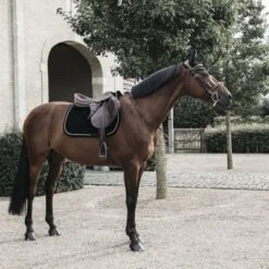 Kentucky Horsewear Kentucky Dressur Satteldecke Corduroy Schwarz Warmblut 19 Kentucky Horsewear Kentucky Dressur Satteldecke Corduroy Schwarz Warmblut -Reitsportbedarf Geschäft kentucky dressuur zadeldekje corduroy zwart 3.e6c5b3