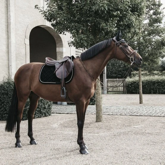 Kentucky Horsewear Kentucky Dressur Satteldecke Corduroy Schwarz Warmblut 7 Kentucky Horsewear Kentucky Dressur Satteldecke Corduroy Schwarz Warmblut – Bild 5