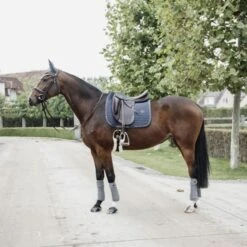 Kentucky Horsewear Kentucky Dressur Satteldecke Pearls Grau Warmblut 22 Kentucky Horsewear Kentucky Dressur Satteldecke Pearls Grau Warmblut -Reitsportbedarf Geschäft kentucky dressuur zadeldekje pearls grey 2.d56f6e 1