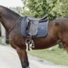 Kentucky Horsewear Kentucky Dressur Satteldecke Pearls Grau Warmblut 1 Kentucky Horsewear Kentucky Dressur Satteldecke Pearls Grau Warmblut -Reitsportbedarf Geschäft kentucky dressuur zadeldekje pearls grey.fbb5bd 1