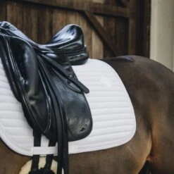 Kentucky Horsewear Kentucky Dressur Satteldecke Pearls Grau Warmblut 34 Kentucky Horsewear Kentucky Dressur Satteldecke Pearls Grau Warmblut -Reitsportbedarf Geschäft kentucky dressuur zadeldekje pearls white.b58991 1