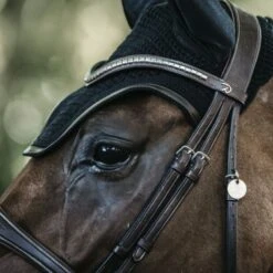Kentucky Horsewear Kentucky Ohrnetz Wellington Leder Dunkelblau Pony -Reitsportbedarf Geschäft kentucky oornet wellington leather soundless zwart 1.f247c5 1