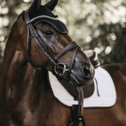 Kentucky Horsewear Kentucky Ohrnetz Wellington Leder Dunkelblau Pony -Reitsportbedarf Geschäft kentucky oornet wellington leather soundless zwart.608724 1