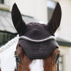 Kentucky Horsewear Kentucky Ohrnetz Wellington Dark Navy -Reitsportbedarf Geschäft kentucky oornetje wellington brown.669ab2