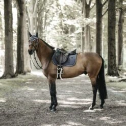 Kentucky Horsewear Kentucky Springsatteldecke Pearls Navy Warmblut 30 Kentucky Horsewear Kentucky Springsatteldecke Pearls Navy Warmblut -Reitsportbedarf Geschäft kentucky spring zadeldekje pearls grey 2.fa55b3
