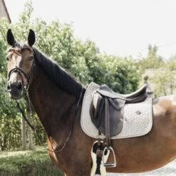 Kentucky Horsewear Kentucky Schabracke Pied-de-Poule Dressur Schwarz Warmblut -Reitsportbedarf Geschäft kentucky zadeldekje pied de poule dressuur beige.b5cde6