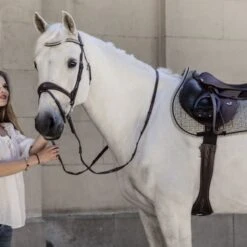 Kentucky Horsewear Kentucky Schabracke Pied-de-Poule Springen Schwarz Warmblut -Reitsportbedarf Geschäft kentucky zadeldekje pied de poule springen brown 3.618cfd