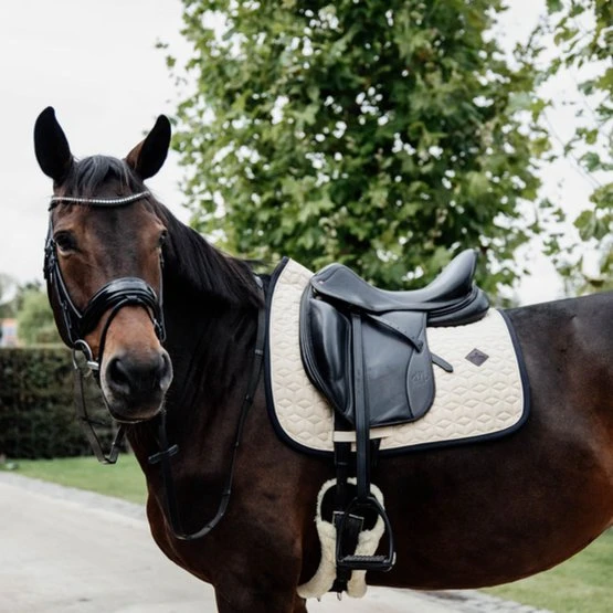 Kentucky Horsewear Kentucky Schabracke Softshell Dressur Grau 10 Kentucky Horsewear Kentucky Schabracke Softshell Dressur Grau – Bild 8