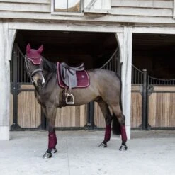 Kentucky Horsewear Kentucky Schabracke Velvet Dressur Lila -Reitsportbedarf Geschäft kentucky zadeldekje velvet dressuur bordeaux 2.8c08e6