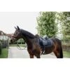 Kentucky Horsewear Kentucky Horse Schabracke Skin Friendly Dressur Navy Warmblut -Reitsportbedarf Geschäft kentuckyhorsewear 42468 03 dr 2.5edcb7