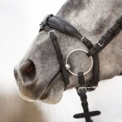 Kieffer Trense Ultrasoft Unah Schwarz 14 Kieffer Trense Ultrasoft Unah Schwarz -Reitsportbedarf Geschäft kieffer 3146 kieffer ultrasoft unah black horse 2.f0eefc