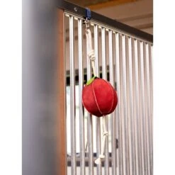 LeMieux Horse Toy Banana -Reitsportbedarf Geschäft lemieux 3n6a4599 edit copy.af1656