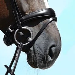 Passier Nasenriemen Anatomsich Geformt Havanna/Silber -Reitsportbedarf Geschäft passier 822 anat wn spez sperr sch pferd 3800x3800.4fed18