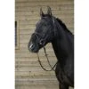 Riding World Trense Mit Kombiniertem Nasenriemen Schwarz -Reitsportbedarf Geschäft productekkia z05822 301 004 302.0b6b52