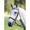 Avignon By Shires Trense Cavesson Gepolstert & Verstellbar Schwarz -Reitsportbedarf Geschäft productsh 3921 black.6b23ab
