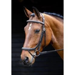 Salisbury By Shires Trense Buckingham Australian Nut -Reitsportbedarf Geschäft shires 212 black.ea7bc7