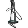 Waldhausen Nasenbandpolster X-Line Design Grün -Reitsportbedarf Geschäft wald 9577664 vb 04.a18fcc